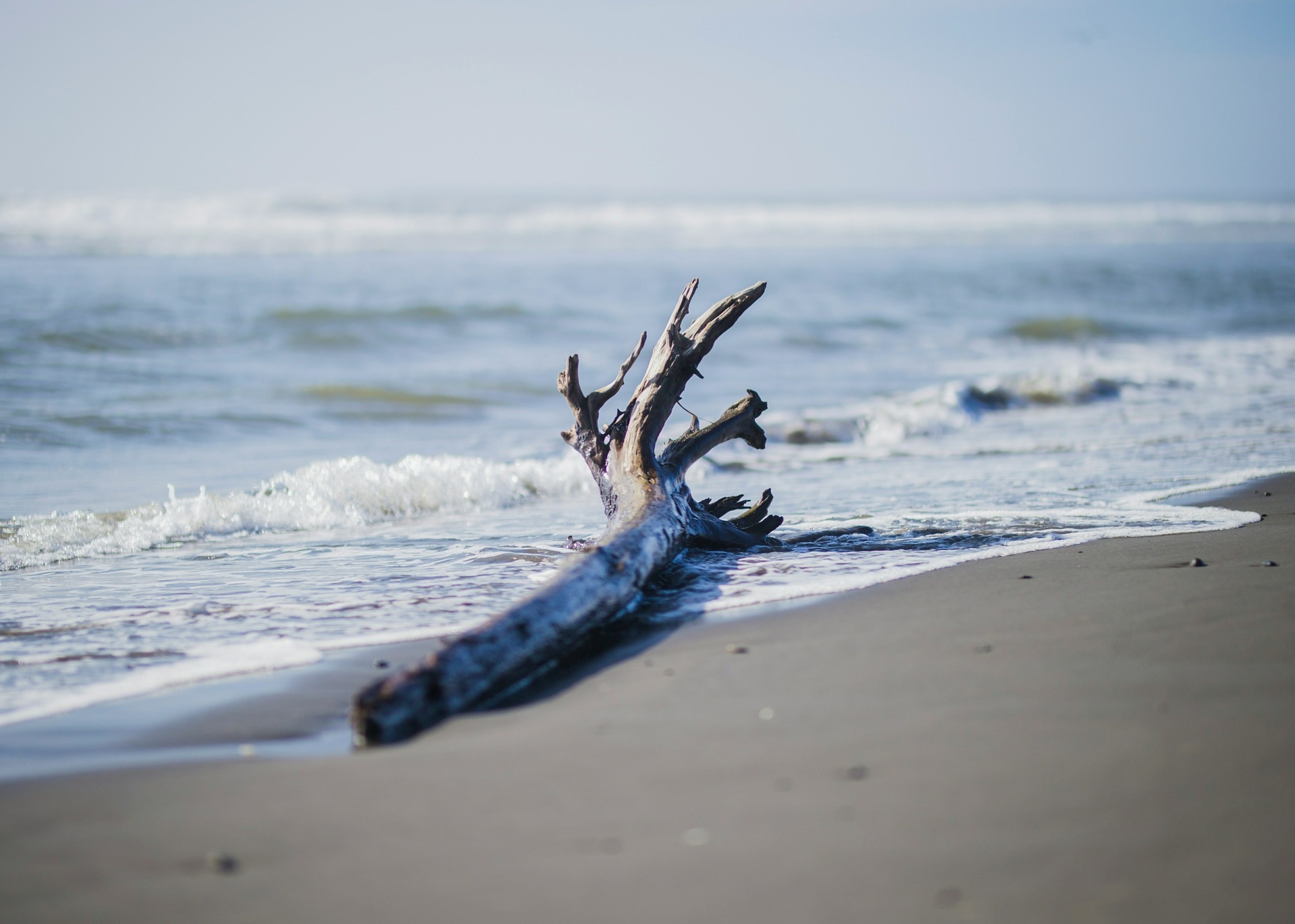 Where to find driftwood in Cornwall