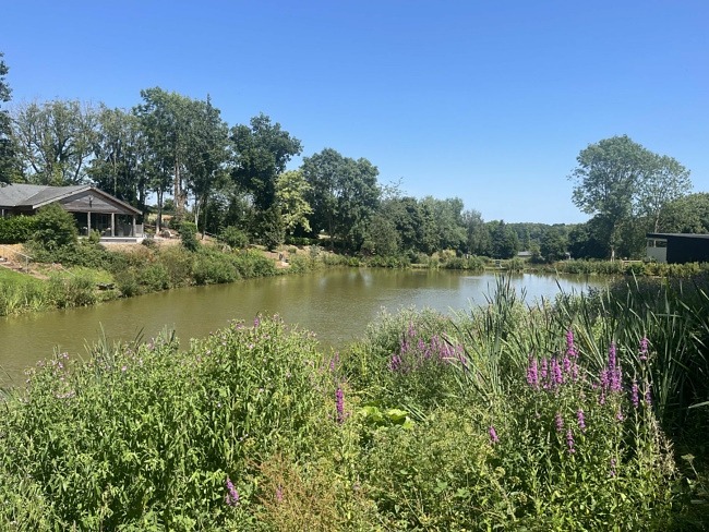 View of the lake on site