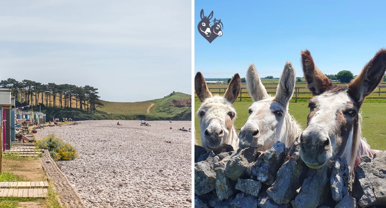 sidmouth attractions